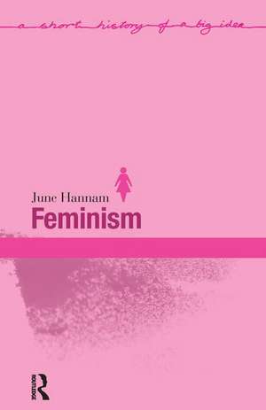 Feminism de June Hannam