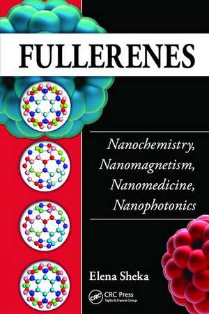 Fullerenes: Nanochemistry, Nanomagnetism, Nanomedicine, Nanophotonics de Elena Sheka