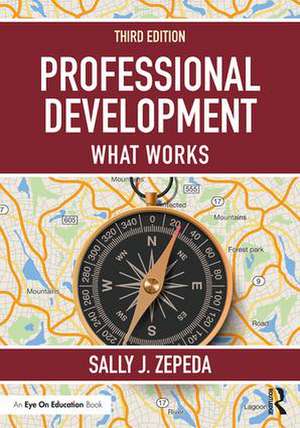 Professional Development: What Works de Sally J. Zepeda