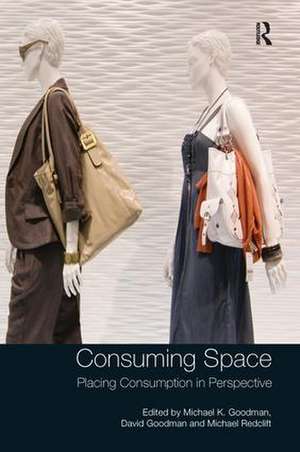 Consuming Space: Placing Consumption in Perspective de Michael K. Goodman