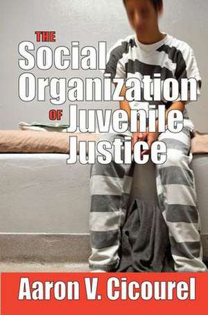 The Social Organization of Juvenile Justice de Aaron Cicourel