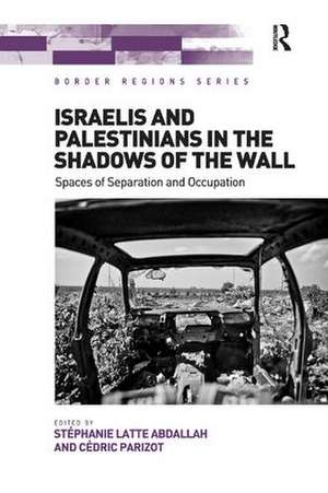 Israelis and Palestinians in the Shadows of the Wall: Spaces of Separation and Occupation de Stéphanie Latte Abdallah