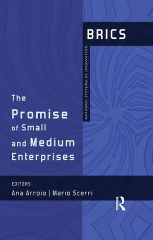 The Promise of Small and Medium Enterprises: BRICS National Systems of Innovation de Ana Arroio