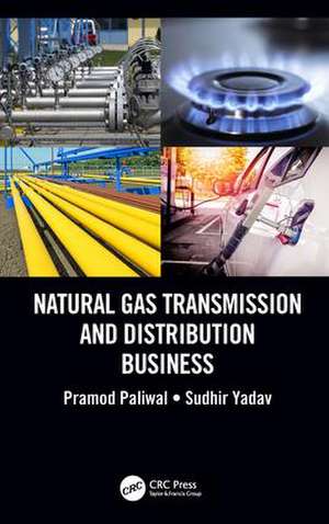 Natural Gas Transmission and Distribution Business de Pramod Paliwal