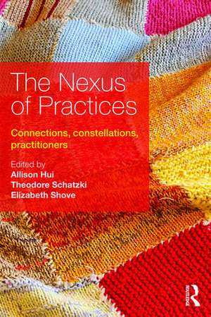 The Nexus of Practices: Connections, constellations, practitioners de Allison Hui