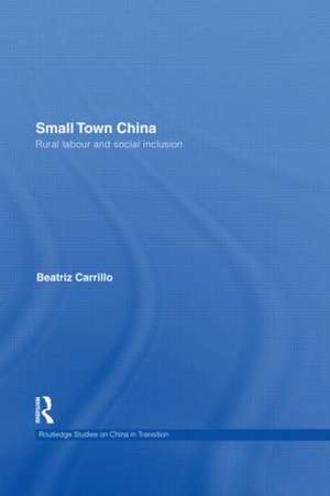 Small Town China: Rural Labour and Social Inclusion de Beatriz Carrillo Garcia