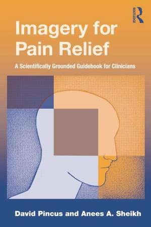 Imagery for Pain Relief: A Scientifically Grounded Guidebook for Clinicians de David Pincus