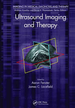 Ultrasound Imaging and Therapy de Aaron Fenster