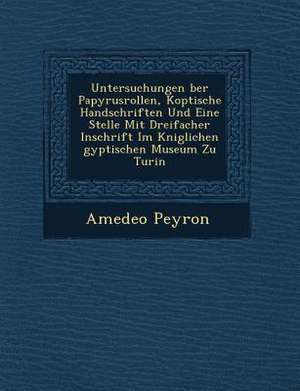 Untersuchungen &#65533;ber Papyrusrollen, Koptische Handschriften Und Eine Stelle Mit Dreifacher Inschrift Im K&#65533;niglichen &#65533;gyptischen Mu de Amedeo Peyron