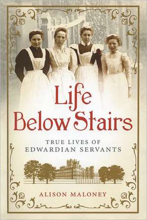 Life Below Stairs: True Lives of Edwardian Servants de Alison Maloney