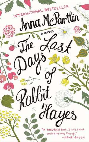 Last Days of Rabbit Hayes: A Delightful Flurry of 40 Patterns for Beginners de Anna McPartlin