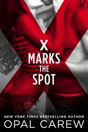 X Marks the Spot de Opal Carew