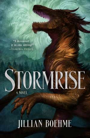 Stormrise de Jillian Boehme