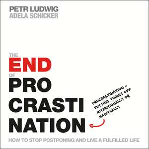 The End of Procrastination de Petr Ludwig