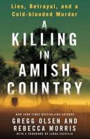 A Killing in Amish Country de Gregg Olsen