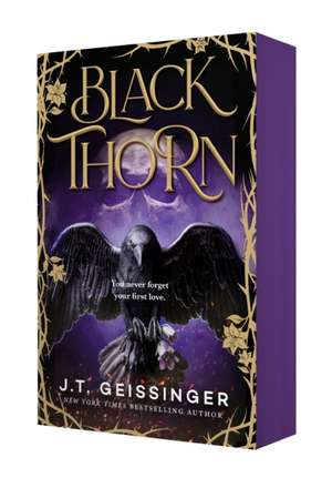 Blackthorn de J. T. Geissinger