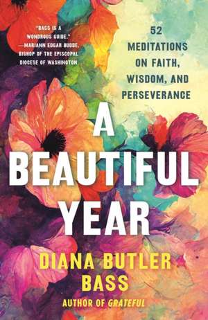 Beautiful Year de Diana Butler Bass