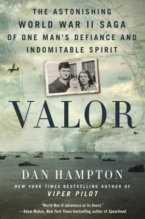 Valor de Dan Hampton