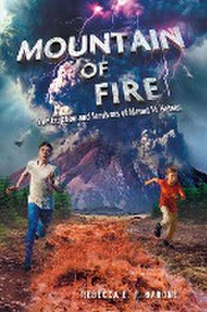 Mountain of Fire de Rebecca E F Barone