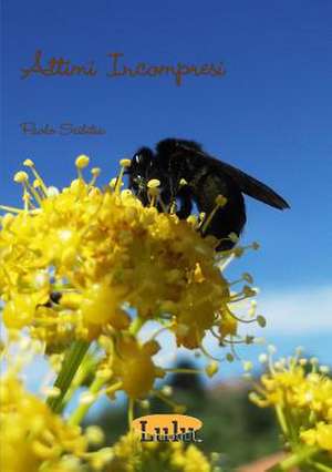 Attimi Incompresi de Paolo Scibilia