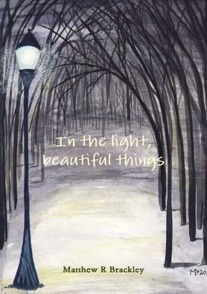 In the Light, Beautiful Things de Matthew R. Brackley