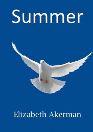 Summer de Elizabeth Akerman