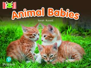 Bug Club Reading Corner: Age 4-7: Animal Babies de Sarah Russell