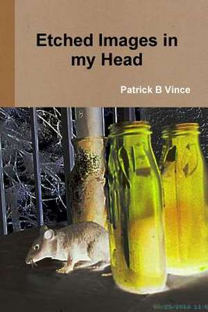 Etched Images in My Head de Patrick B. Vince