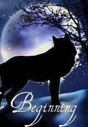 Icy Beginning de Larissa Whiting