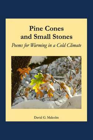 Pine Cones and Small Stones de David Malcolm