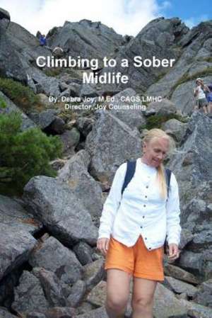 Climbing Towards a Sober Midlife de Lmhc Joy, M. Ed Cags