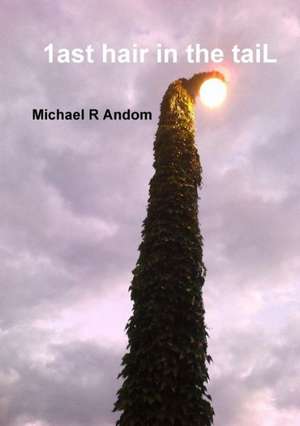 1ast Hair in the Tail de Michael R. Andom