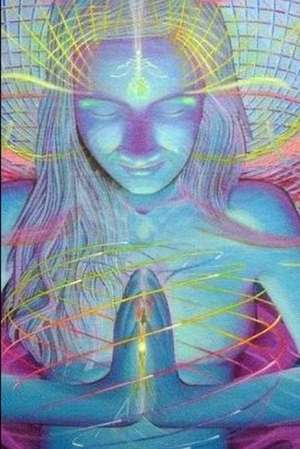 LSD Experience de Eugene Seaich
