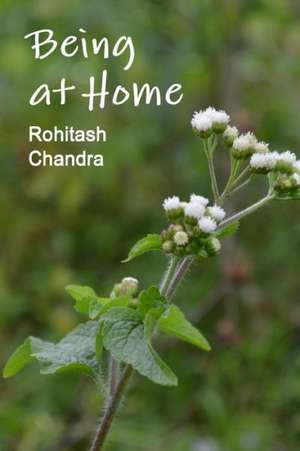 Being at Home de Rohitash Chandra