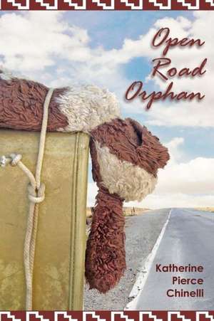 Open Road Orphan de Katherine Pierce Chinelli