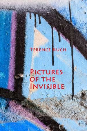 Pictures of the Invisible de Terence Kuch