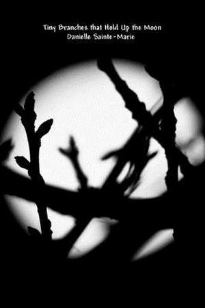 Tiny Branches That Hold Up the Moon de Danielle Sainte-Marie