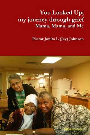 You Looked Up; My Journey Through Grief de Pastor Jonita L. (Jay) Johnson