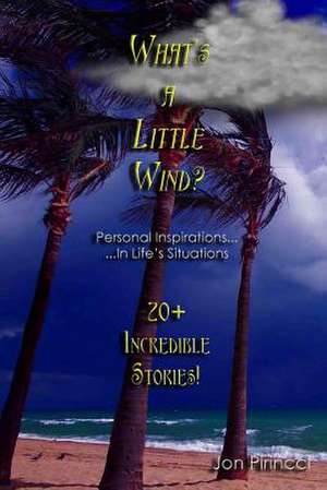 What's a Little Wind? de Jon Pirincci