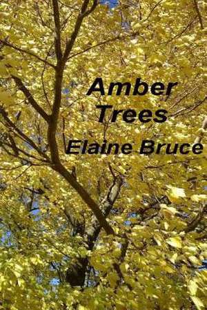 Amber Trees de Elaine Bruce