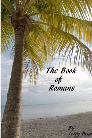 Book of Romans de Terry Bear