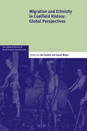 Migration and Ethnicity in Coalfield History: Global Perspectives de Ad Knotter