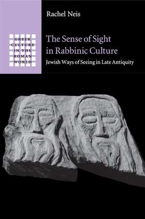 The Sense of Sight in Rabbinic Culture: Jewish Ways of Seeing in Late Antiquity de Rachel Neis