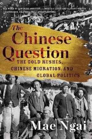 The Chinese Question – The Gold Rushes, Chinese Migration, and Global Politics de Mae Ngai