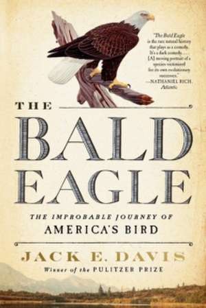 The Bald Eagle – The Improbable Journey of America′s Bird de Jack E. Davis