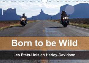 Born to be wild - Les États-Unis en Harley-Davidson (Calendrier mural 2018 DIN A4 horizontal) de Mike Kaercher