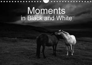 Moments in Black and White 2018 de Klaus Gerken