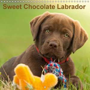 Sweet Chocolate Labrador (Wall Calendar 2018 300 × 300 mm Square) de Petra Schiller