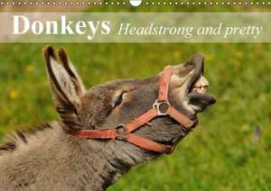 Donkeys Headstrong and pretty (Wall Calendar 2018 DIN A3 Landscape) de Elisabeth Stanzer