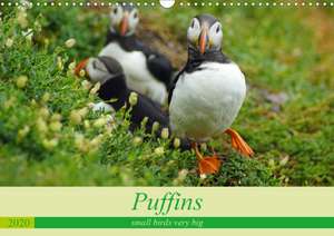 Puffins - small birds very big (Wall Calendar 2020 DIN A3 Landscape) de Babett Paul - Babett's Bildergalerie